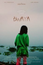 Bwaya