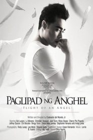 Paglipad ng anghel