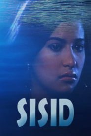 Sisid